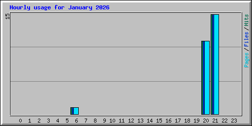 Hourly usage for January 2026